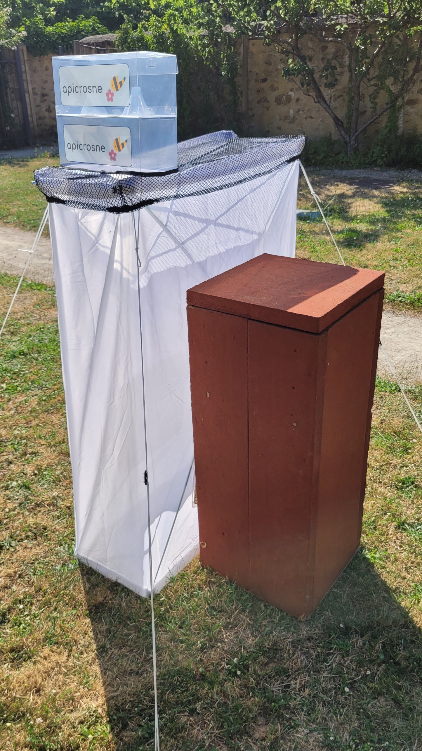 Tente anti-frelons modèle 2025